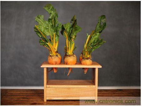 害怕圣誕節(jié)沒創(chuàng)意？看看發(fā)燒友們怎么過圣誕