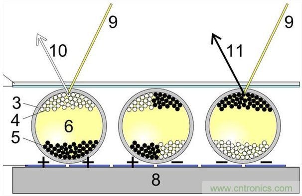 小眾也瘋狂！電子墨水瓶襲擊市場(chǎng)