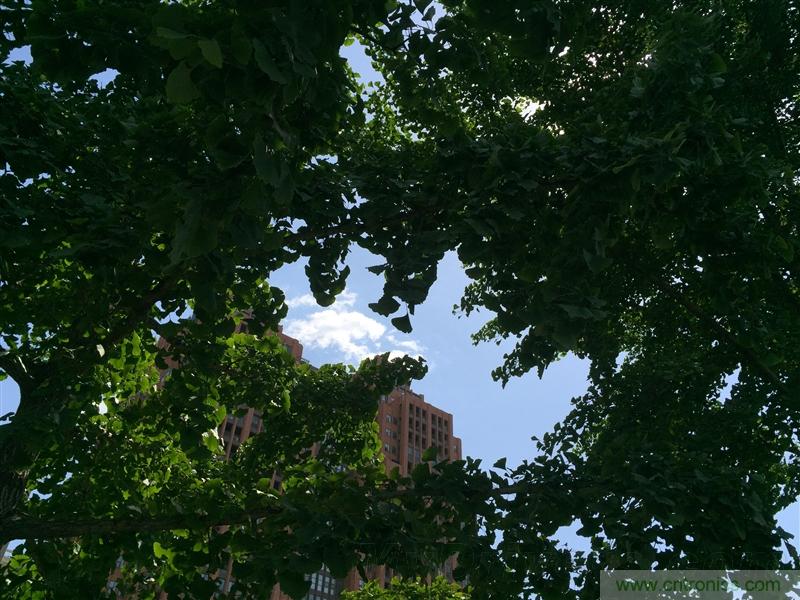 無(wú)邊框的 nubia Z9 ，一款既有驚喜，又有驚艷的智能手機(jī)