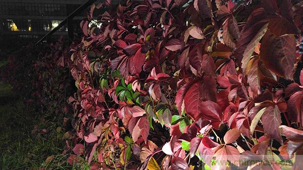 業(yè)界良心 LG V10 評測:剛毅、冷峻，不失人性化