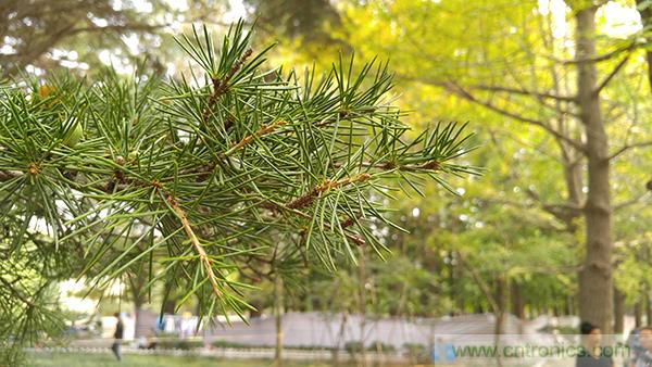 業(yè)界良心 LG V10 評測:剛毅、冷峻，不失人性化