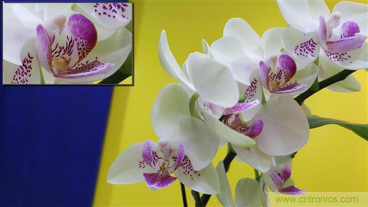 三星S6 edge+評測：擊退note 5，帶著雙曲屏卷土重來