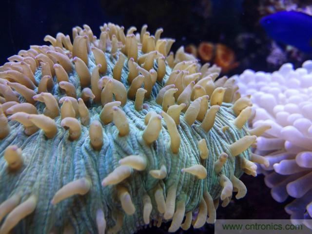 Hi-Fi革命！vivo X6 Plus深度評測：夠快才暢快