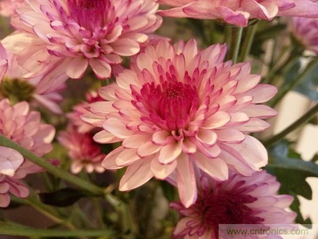 Hi-Fi革命！vivo X6 Plus深度評測：夠快才暢快