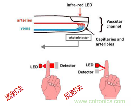 從光學(xué)模塊到系統(tǒng)構(gòu)建來(lái)解決，如何實(shí)現(xiàn)光學(xué)體征信號(hào)監(jiān)測(cè)？