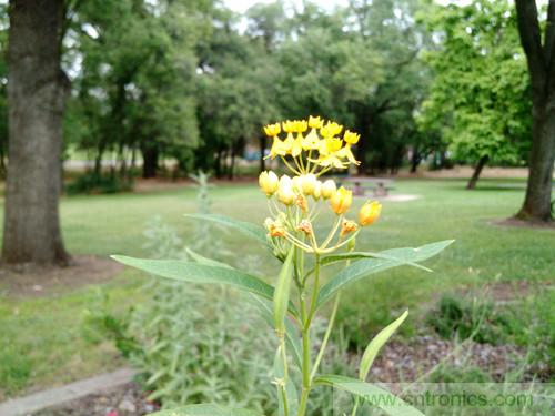 無數(shù)的拍攝，只為成就一個完美回憶