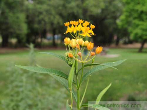 無數(shù)的拍攝，只為成就一個完美回憶