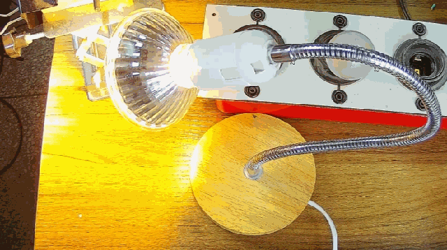 電燈泡內(nèi)通有交流電，為什么看不到燈泡在閃爍？