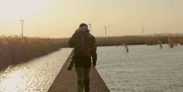 世界濕地日：海康威視攜手一個地球自然基金會，在上海守護這個重要“驛站”