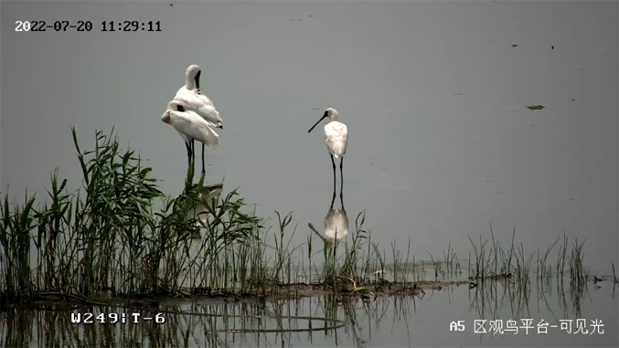 ?？低暟l(fā)布2022年ESG報(bào)告：科技為善，助力可持續(xù)的美好未來