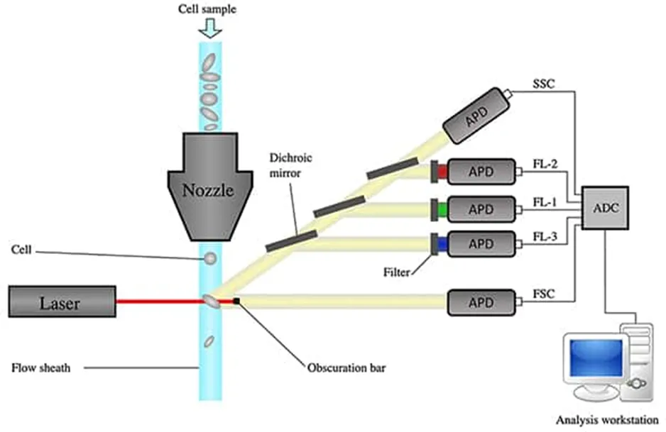 解決了！這個模塊解決了流式細胞儀設(shè)計的多個痛點！