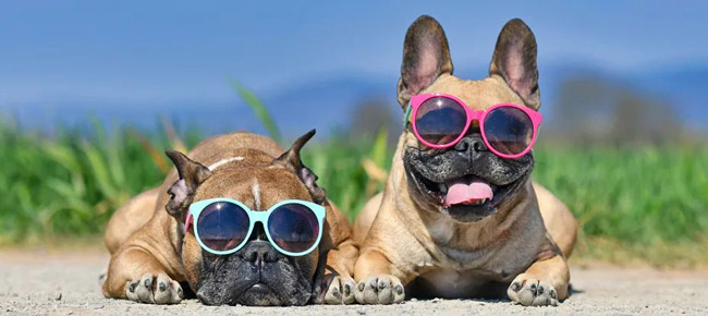 利用先進(jìn)的電源管理技術(shù)滿足5G通信和數(shù)據(jù)中心應(yīng)用需求 利用先進(jìn)的電源管理技術(shù)滿足5G通信和數(shù)據(jù)中心應(yīng)用需求