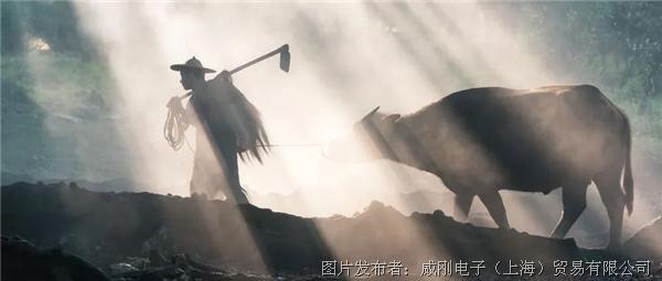 智慧農(nóng)業(yè)大有可為，“數(shù)字種地”更輕松