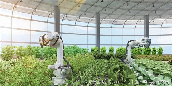 智慧農(nóng)業(yè)大有可為，“數(shù)字種地”更輕松