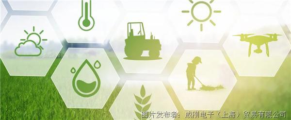 智慧農(nóng)業(yè)大有可為，“數(shù)字種地”更輕松